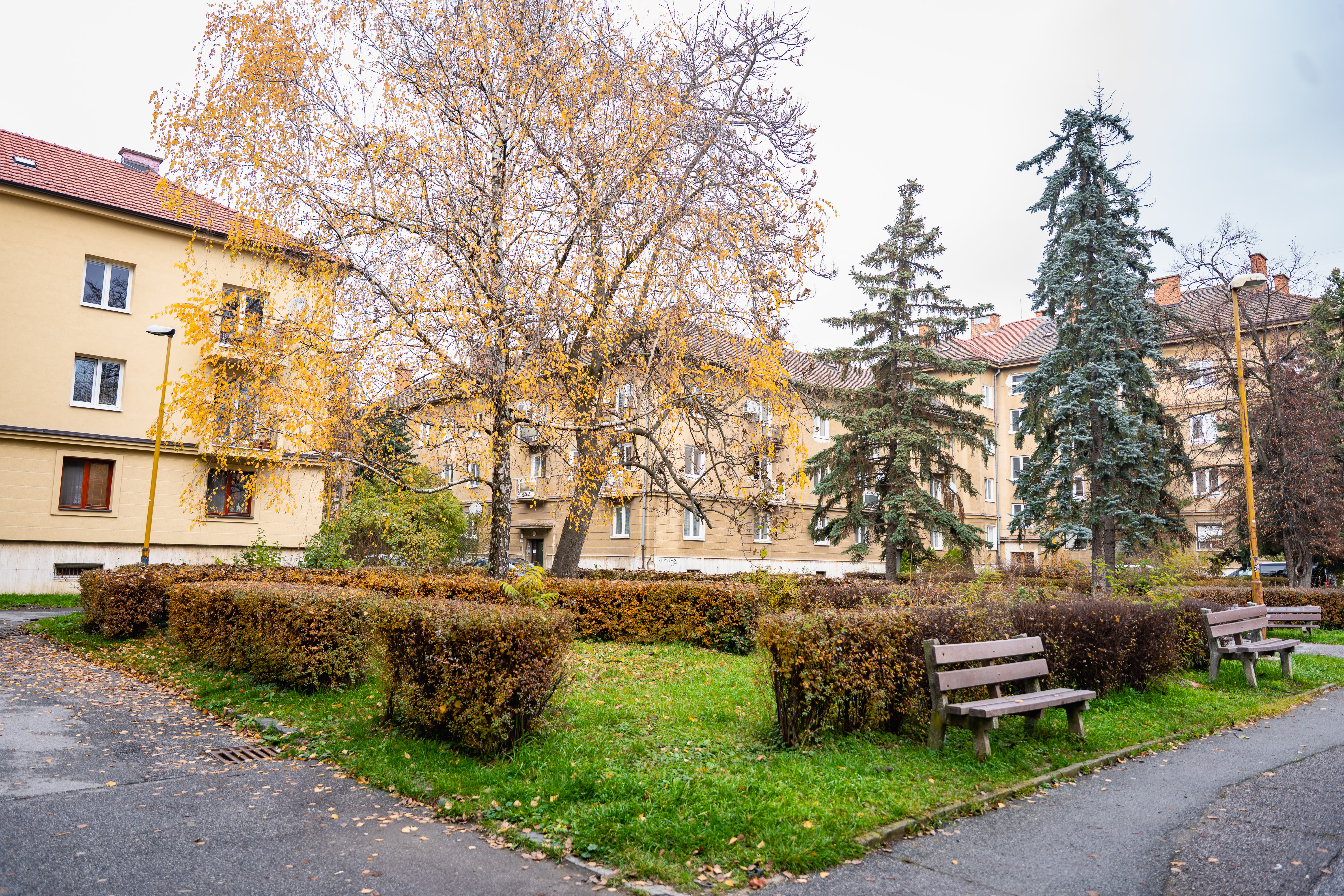 Odovzdanie staveniska - Pasteurovo nam.-50